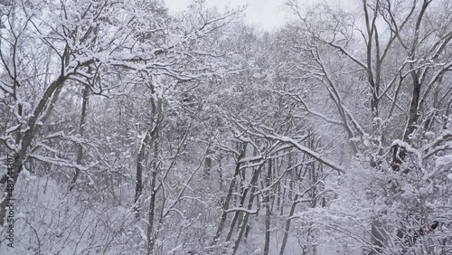 溶けて崩れ落ちていく雪景色