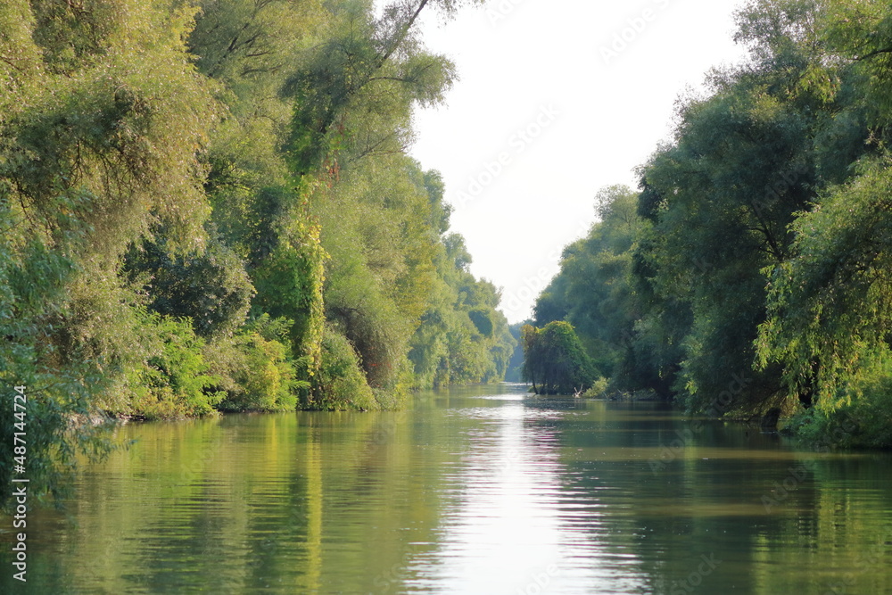 a small river channel in the Danube Delta