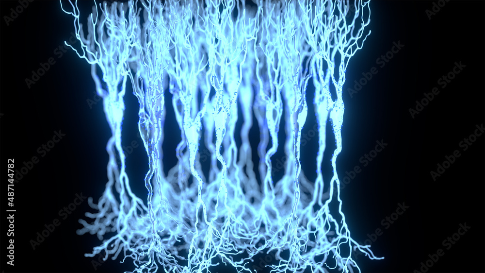 3D Rendering of Pyramidal Neurons - obrazy, fototapety, plakaty 