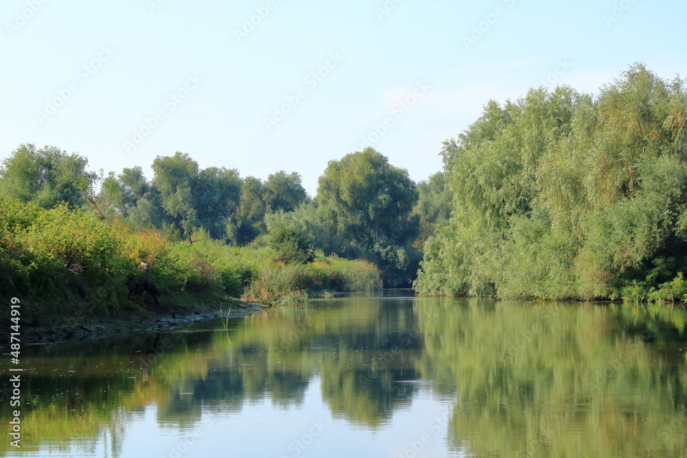 Fototapeta premium a small river channel in the Danube Delta