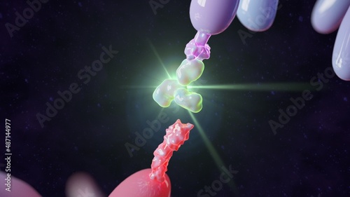 3D Render of Therapeutic Antibody binding do PD-1 Molecule photo