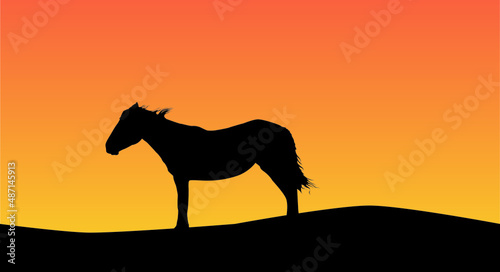silhouette of horse © Tungalag