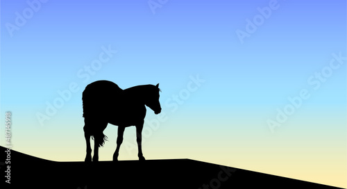 silhouette of horse