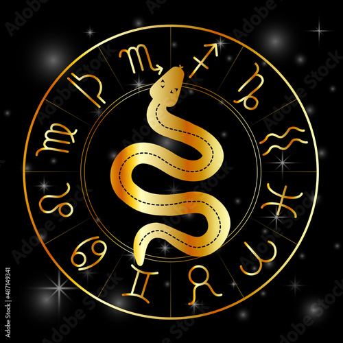 Zodiac symbols astrology signs with mystic serpentine in gold	