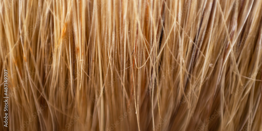The bristles of the paint brush. Macro photo. Soft focus. Panorama. The bristles of the paint brush. Macro photo. Soft focus. Panorama.