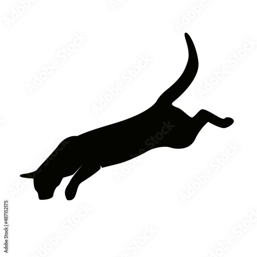 CHAT 2 PICTO VECTEUR