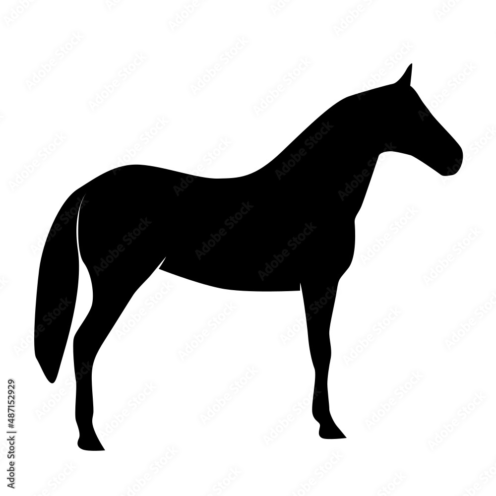 Obraz premium CHEVAL 3 PICTO VECTEUR