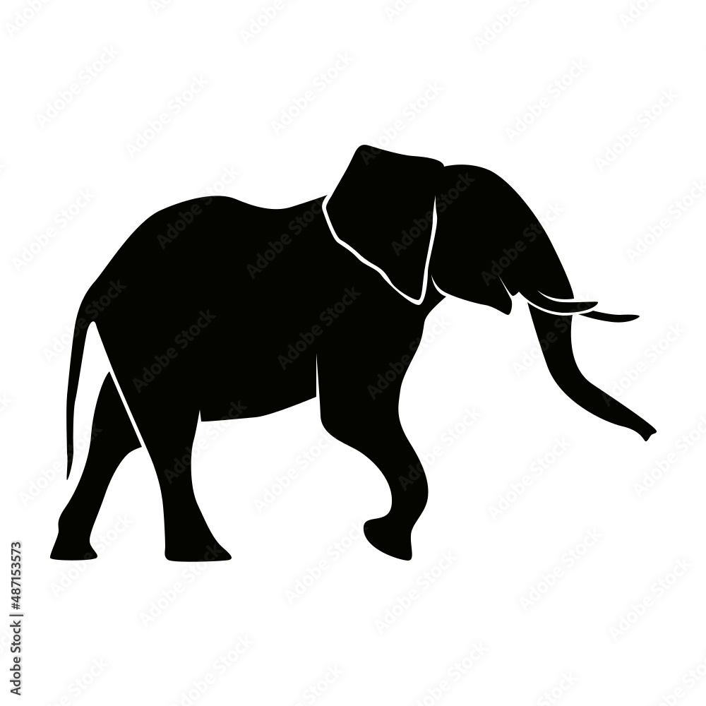 Fototapeta premium ELEPHANT 1 PICTO VECTEUR