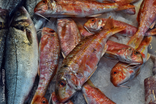 Fresh and healthy fish seafood for sale at a market