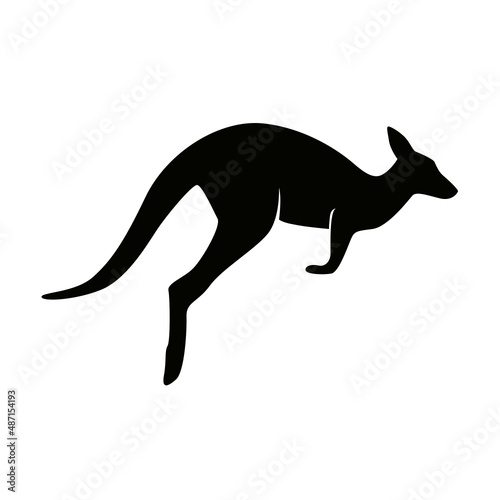 KANGOUROU 3
