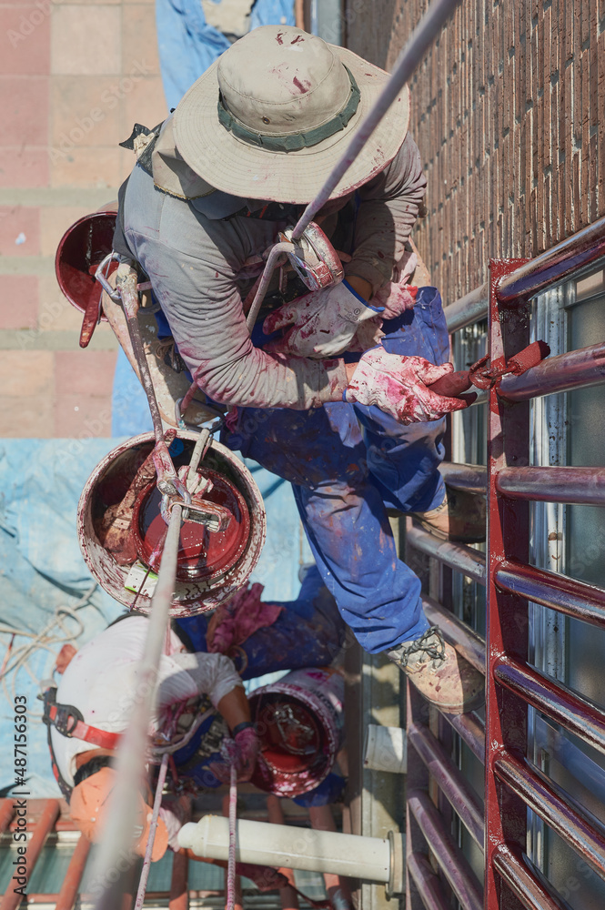 Two professional male painters works at height, hanging from ropes and a harness while painting with a painting roll and a bucket. Dangerous jobs, safety equipment and occupational risk prevention.