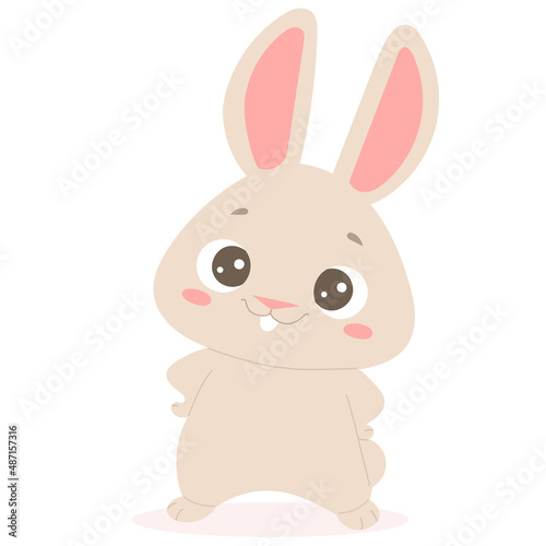 Illustration of a cute cartoon bunny