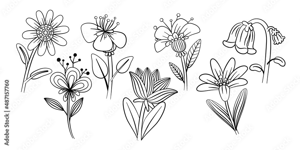 Sets of Beautiful Flowers, Doodle Arts, Vector, Illustration