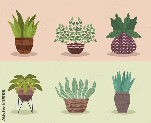 six houseplants gardening icons