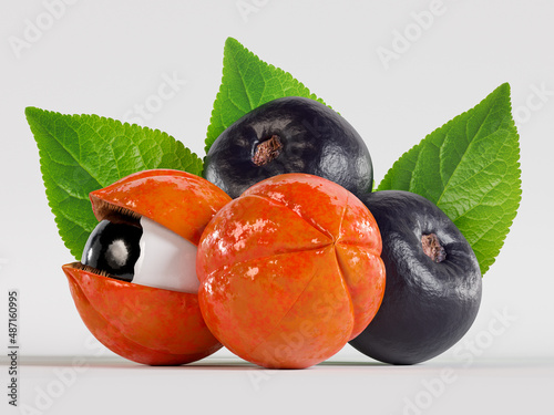 Fotografie Açaí and Guarana from the Brazilian Amazon with seed and apparent leaves