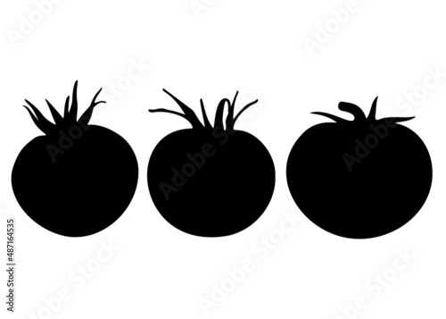 Tomatoes in a set. Vector image.