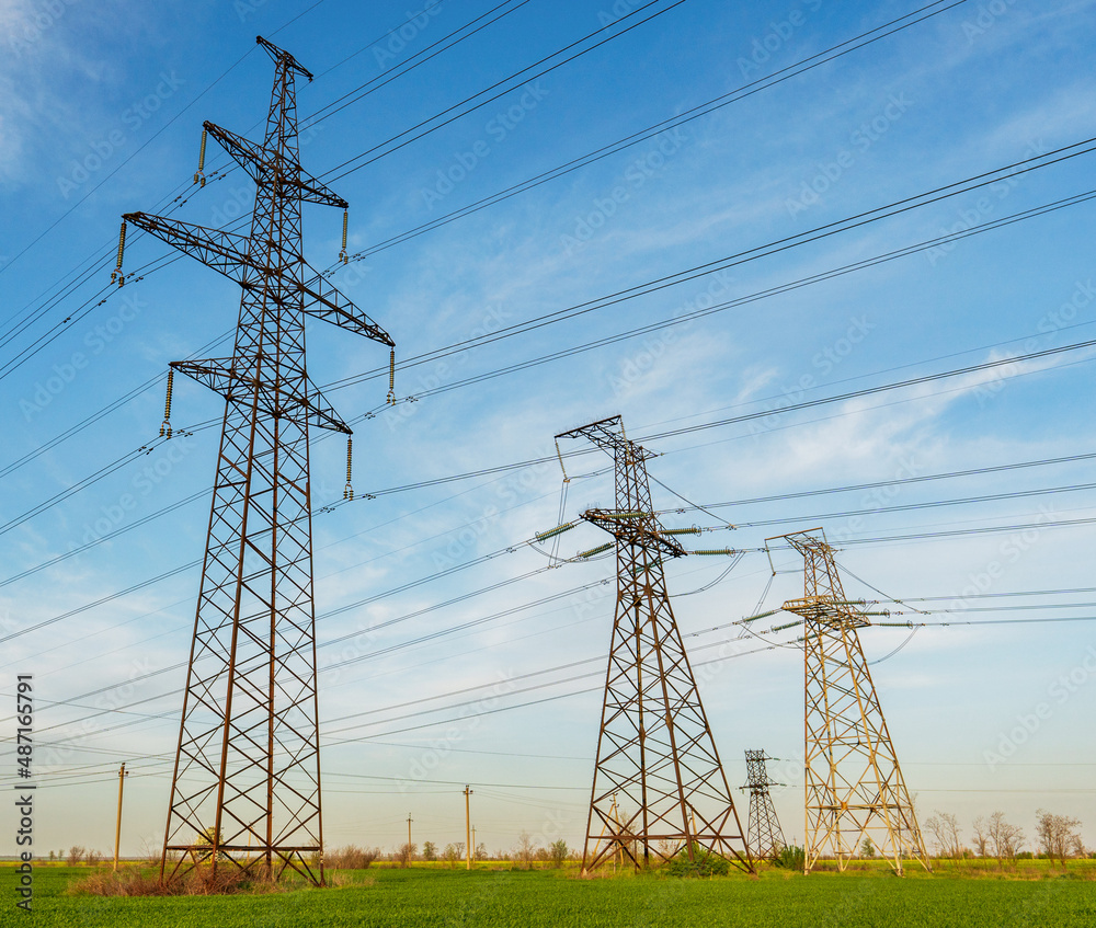 power lines in the spring in a green wheat field power lines in the spring in a green wheat field