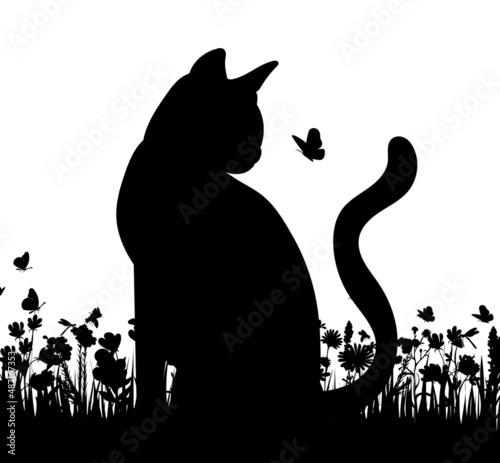 cat sitting on the grass silhouette, isolated vector