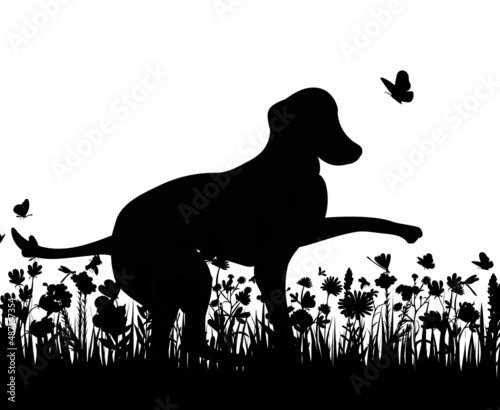 dog on the grass silhouette  isolated vector