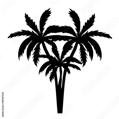 palm tree silhouette  isolated vector