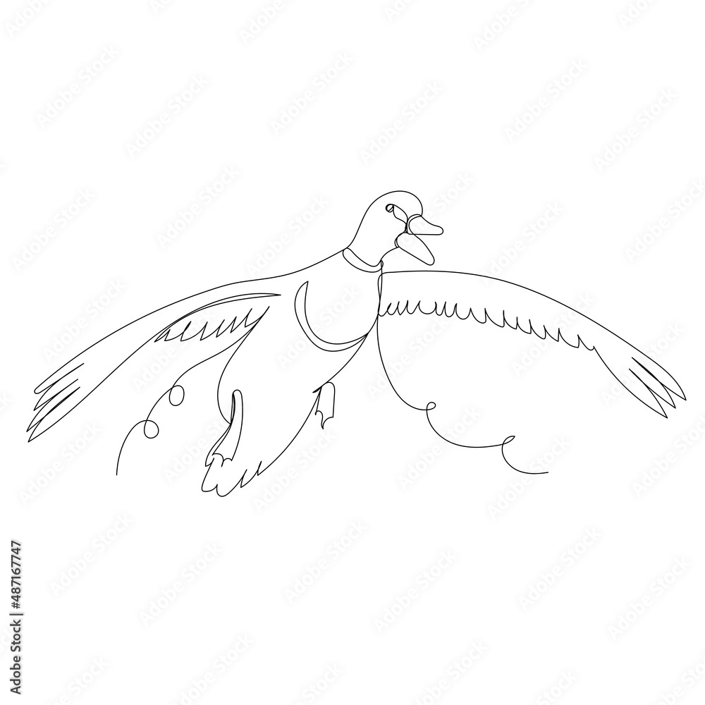 duck one line drawing, isolated, vector duck one line drawing, isolated, vector