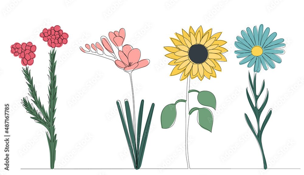 Obraz premium flowers grow drawing in one line, isolated, vector