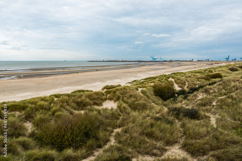 Blankenberge, Flanders / Belgium - 10 30 2018: Large sandy beach and green dunes at the Belgian North sea during ebb tide in autumn.