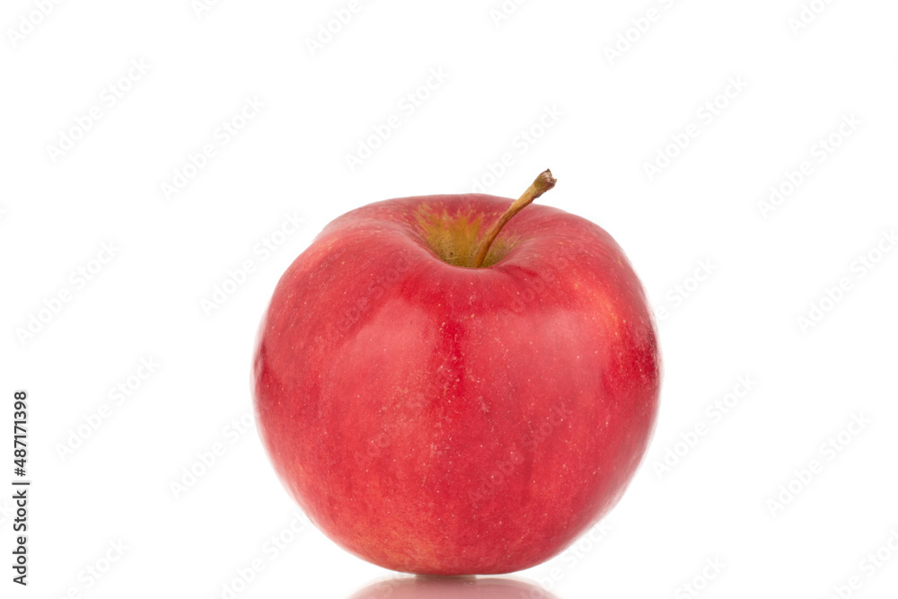 One ripe red apple, macro, isolated on white background. One ripe red apple, macro, isolated on white background.
