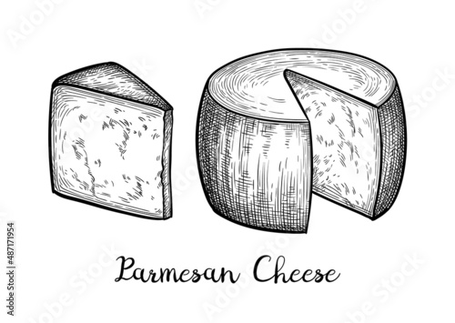 Parmesan cheese ink sketch.