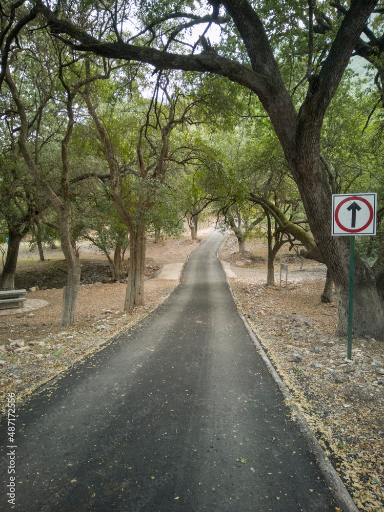 Obraz premium camino