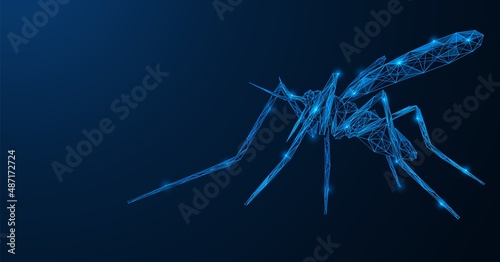 Mosquito. A two-winged blood-sucking insect. Polygonal design of interconnected lines and points. Blue background.