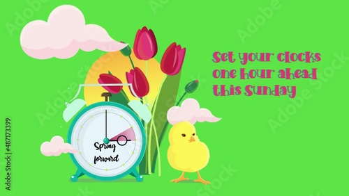 Setting clocks ahead. DST saving time banner animation with tulips, sunset, chick and clouds. Spring forward. Chroma key HD video.