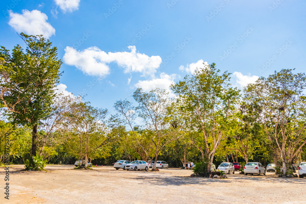 Parking lot with cars jungle to Kaan Luum lagoon Mexico.