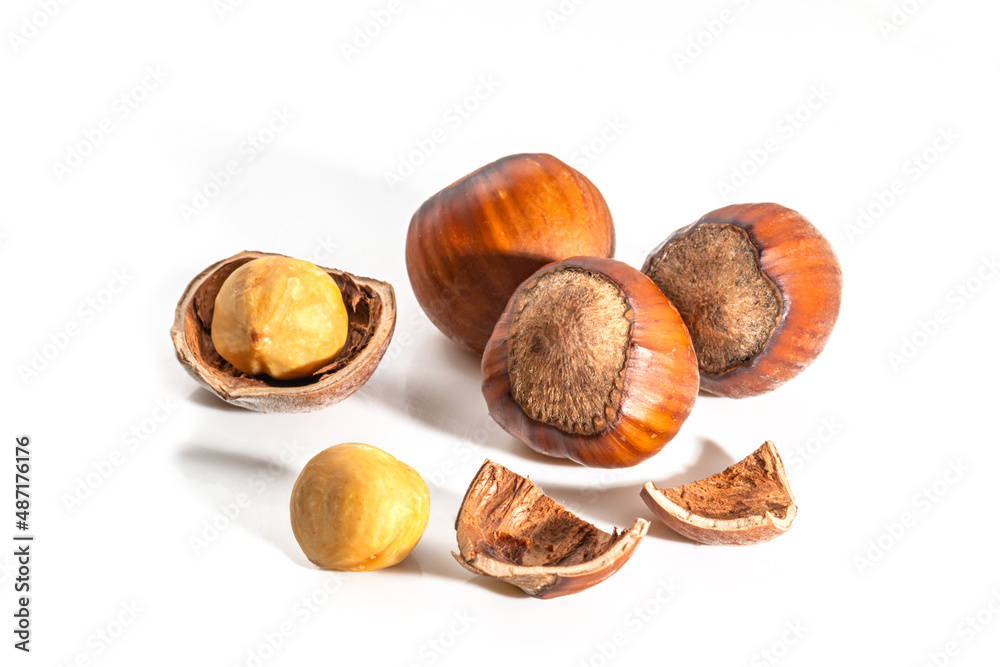 Hazelnuts in the shell. Round filbert, ripe fruit of a Corylus avellana hazel shrubs. Hazelnuts in the shell. Round filbert, ripe fruit of a Corylus avellana hazel shrubs.