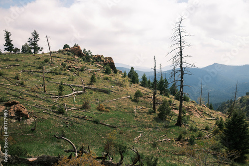 Landscape in Mount Falcon Park, Jefferson County photo