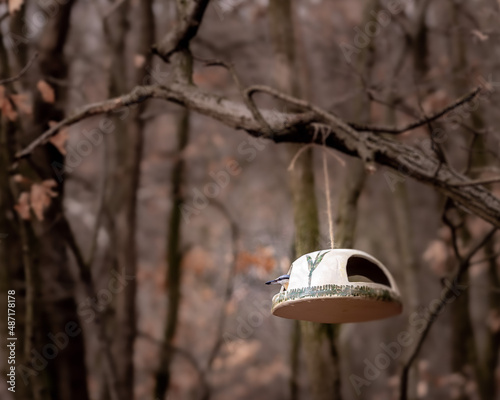 feeder in winter forest hanging on a tree