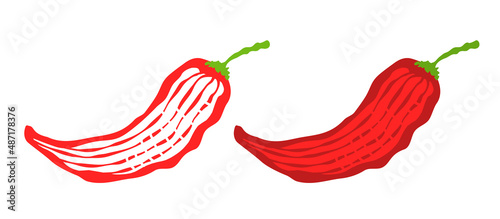 Vector illustration of chilli pepper. Vector icon of chili pepper in vintage style.
