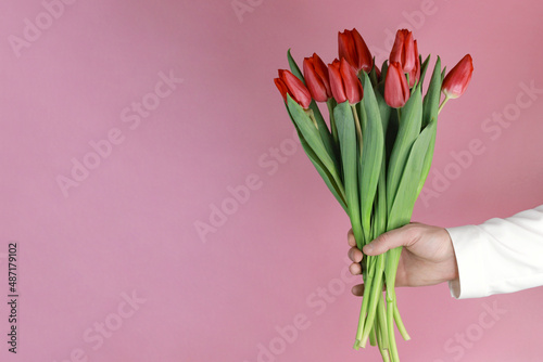 A man's hand holds a bouquet of tulips on a pink background. Space for text. Postcard. Holiday. Women's Day. valentine's day © Сергей Стельченко