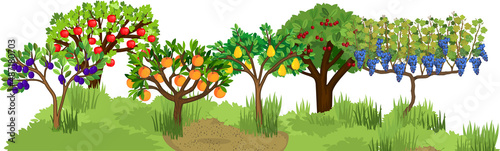 Landscape with different fruit trees with ripe fruits on the branches. Harvest time