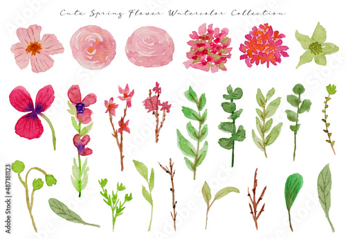 a set of cute pink spring flower and leaf watercolor 