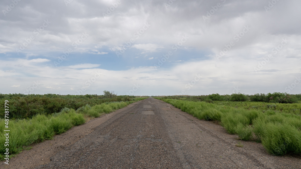 Asphalt road through green fields Asphalt road through green fields