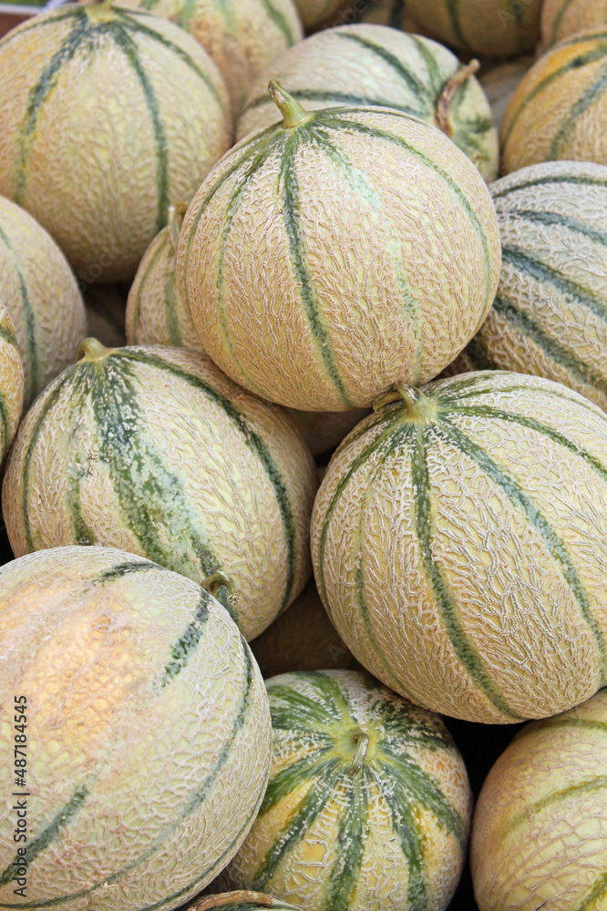Fresh Cantaloupe melons sold at a market stall, close up, texture, blurred background,