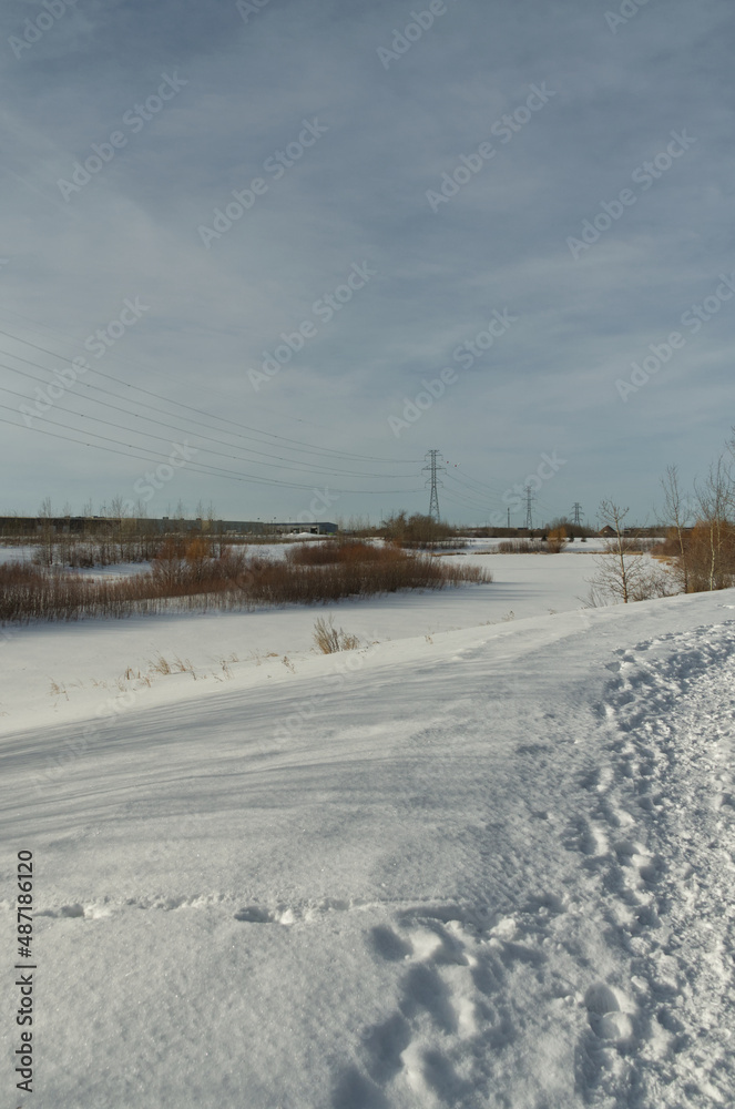 Pylypow Wetlands in the Winter Season