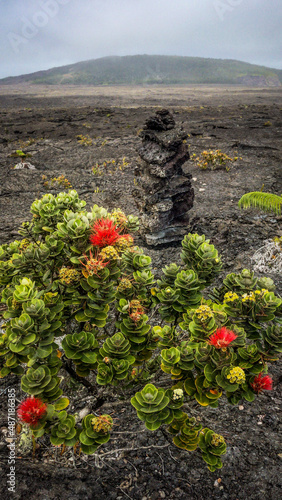 lava flow in island
