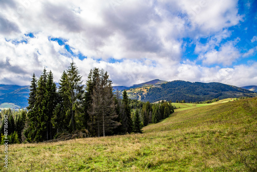 hill covered with grass and dreamy forest on a background of mountains and blue sky with clouds. warm summer day. beautiful nature landscape.