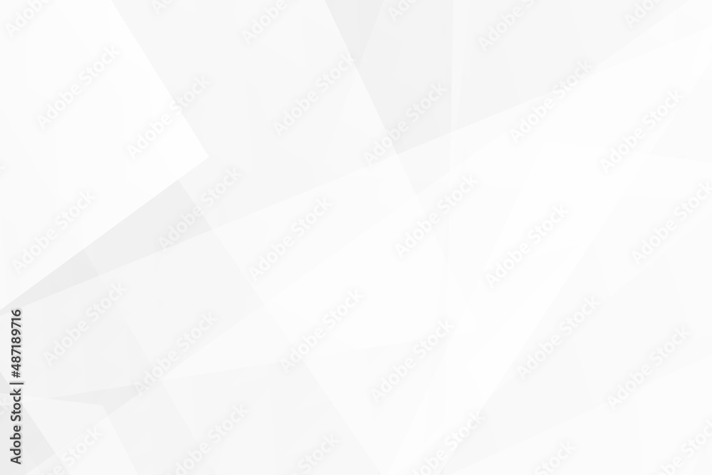 Obraz premium Abstract white and grey on light silver background modern design. Vector illustration EPS 10.