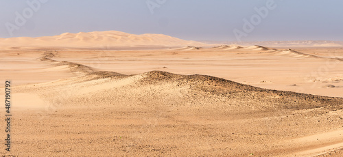 Panorama image of a landscape with sand dunes in the Namib desert along the Atlantic coast of Namibia