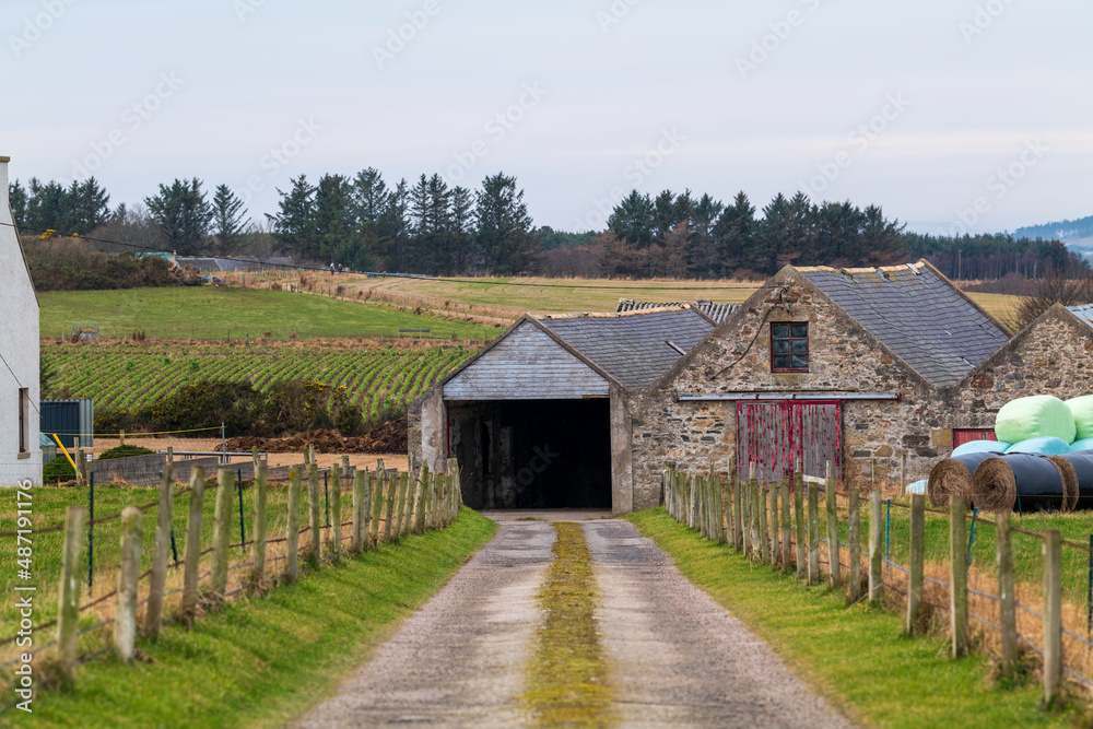 Naklejka premium PORTGORDON,MORAY,SCOTLAND - 13 FEBRUARY 2022: This is the road leading to a Farmhouse and its outbuildings in Portgordon, Moray, Scotland on 13 February 2022