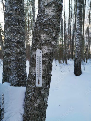 outside thermometer attached at  birch tree bark in winter forest