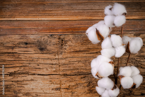 Cotton flowers on wooden background